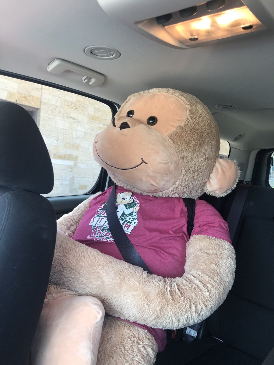 Kathy Thomas tweet media