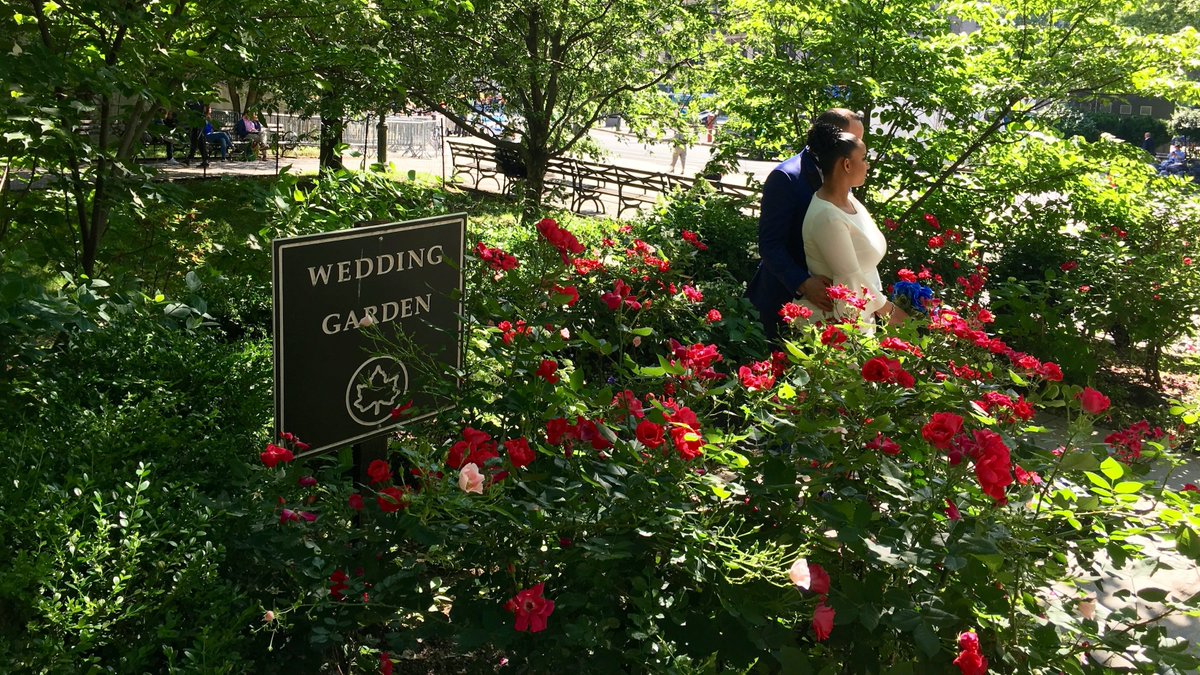 Nyc Parks On Twitter Roses Are Blooming At The Wedding Garden