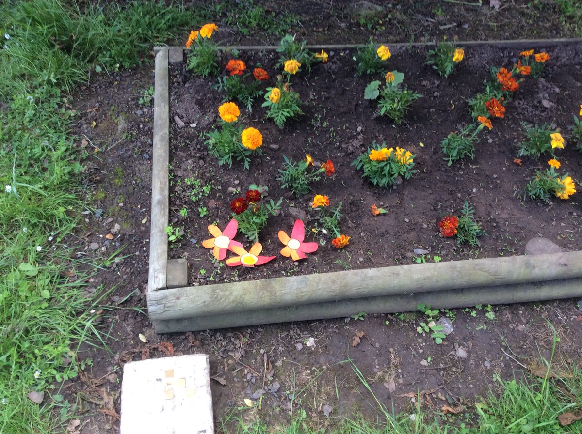 Finally, the weather cleared for us to complete our fair test to assess whether colour, scent or sugar water on our card flowers proved more appealing to🐝 and other insects. Why not ask your children how we made it a fair test and what the results were?