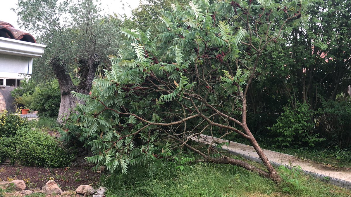 Arnaud Ladrière tweet media