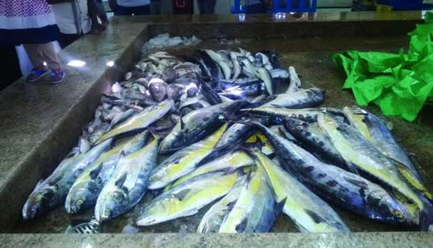 GulfTimes_QATAR's tweet photo. 100kg #fish destroyed after found unfit for consumption
#AlWakrah #AlDaayen #AlWukair https://t.co/uTjizbGDHS https://t.co/CPyDEdfaB8