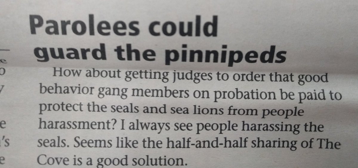 This is a fantastic idea that will certainly never backfire courtesy of a La Jolla Light reader. #SealGang