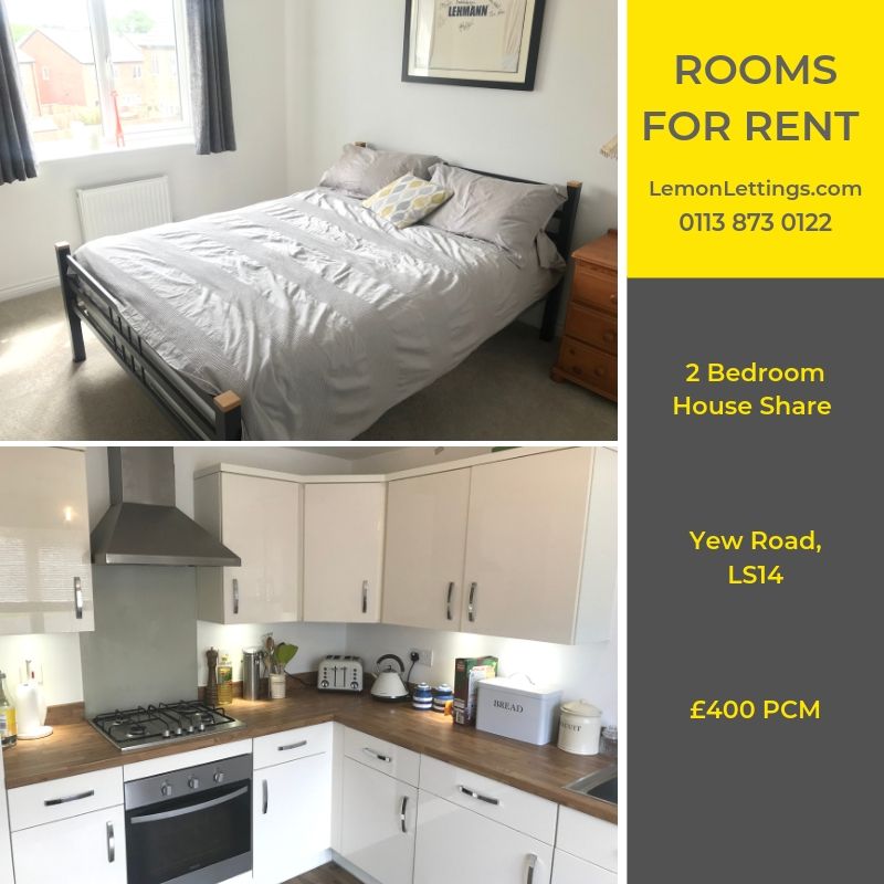 LemonLettings's tweet photo. Are you looking for a accommodation in Leeds? Do you know someone who is? Call us on 0113 873 0122 to register your interest! #ToLet #Leeds 🍋 https://t.co/1nPBnGMsAr