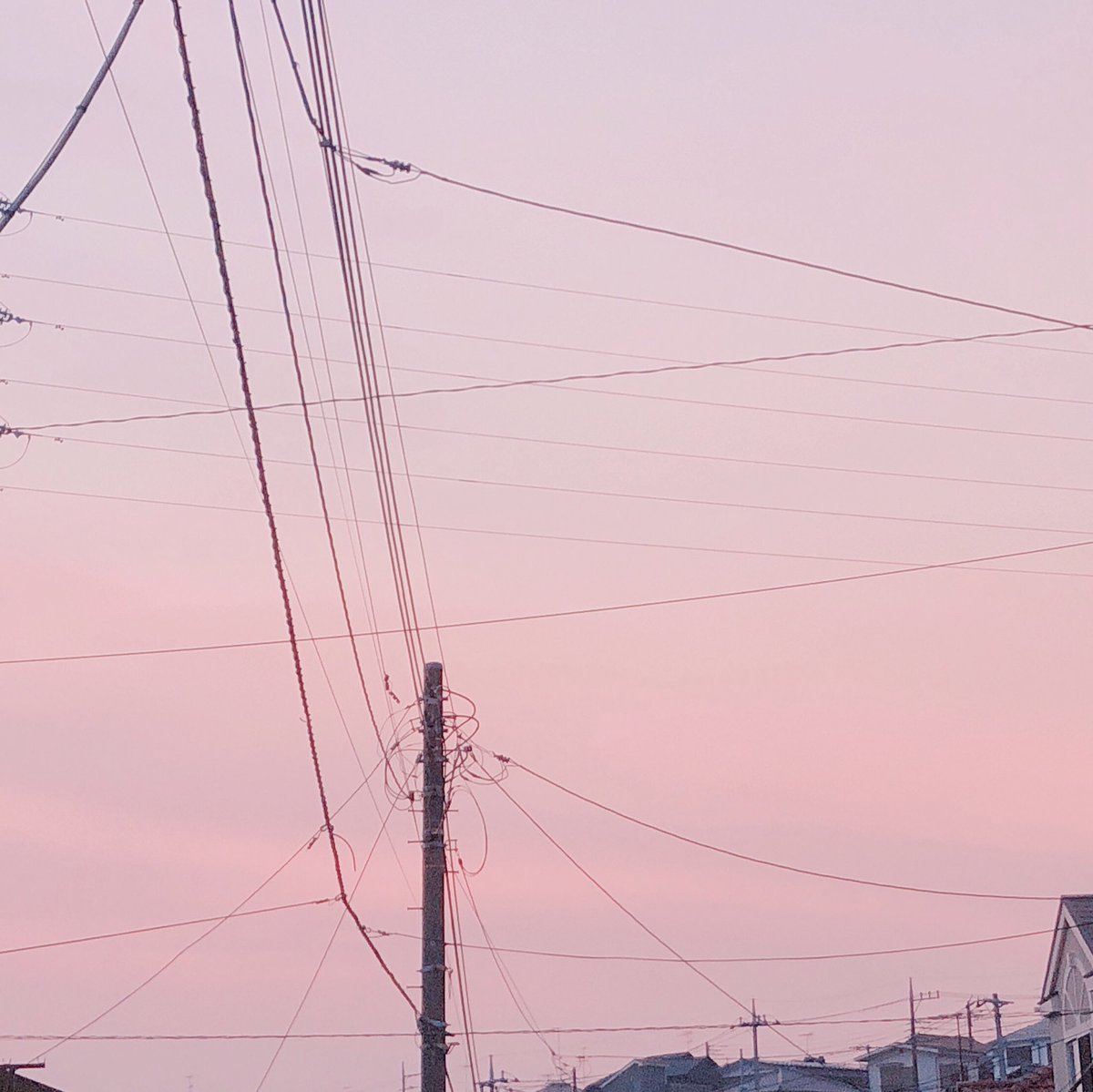空がピンク色できれいでかわいい この時間の空気好き 一束 イラスト Live2dのイラスト