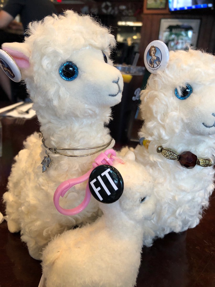 VirtualBarAssn's tweet photo. Great time had at today's VBA lunch HT @fernsummer @AndreaCan  #llamasoflegal https://t.co/IBVui147jA