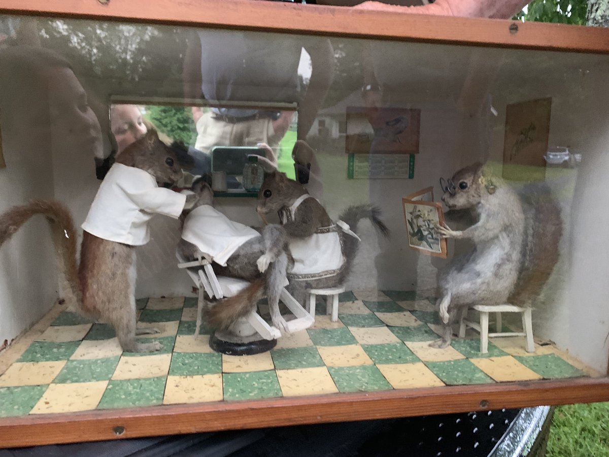 vickbaur2287's tweet photo. Today I learned that my great grandfather was an amateur taxidermist and about 100 years ago made this barber shop scene of squirrels... enjoy https://t.co/8lNRMOyIhX