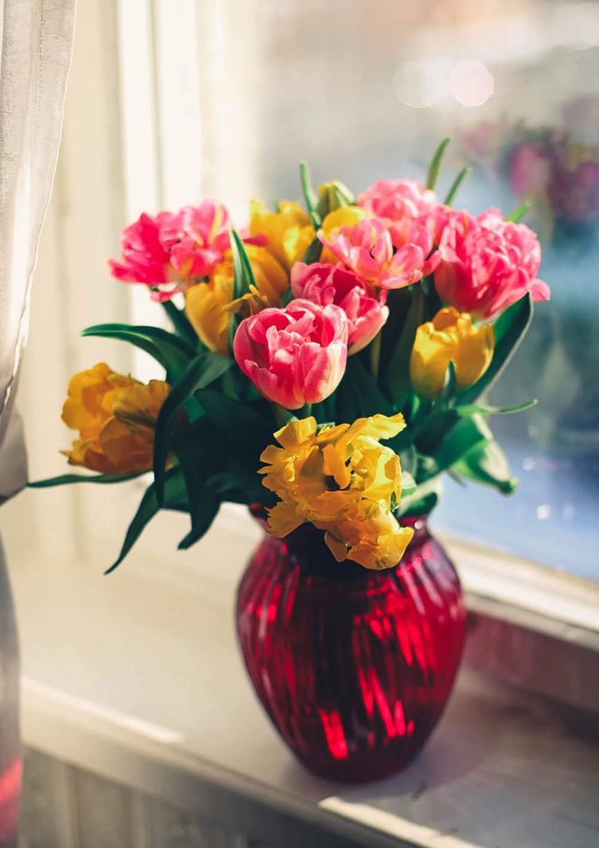 KolaradoPoet's tweet photo. #DALICIOUS
Haters bluff
DALICIOUS love
Needles switch off
From man of the hour
No time for hatred
Working silently for greatness
You can't hide Sun brightness
Kolarado De KOKO
If you don't know you JOGODO"
KolaradoPoet#ChrisDrazor https://t.co/qU4qN0As28