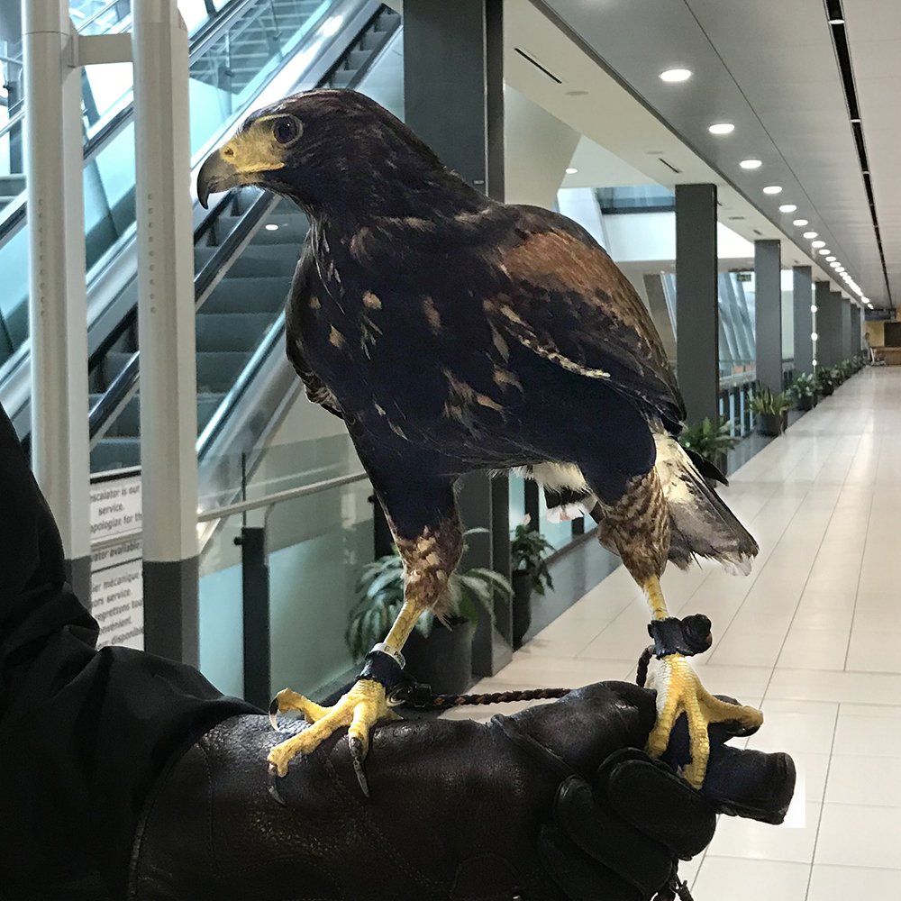 Ohana Vacations At Ohanavacations Twitter