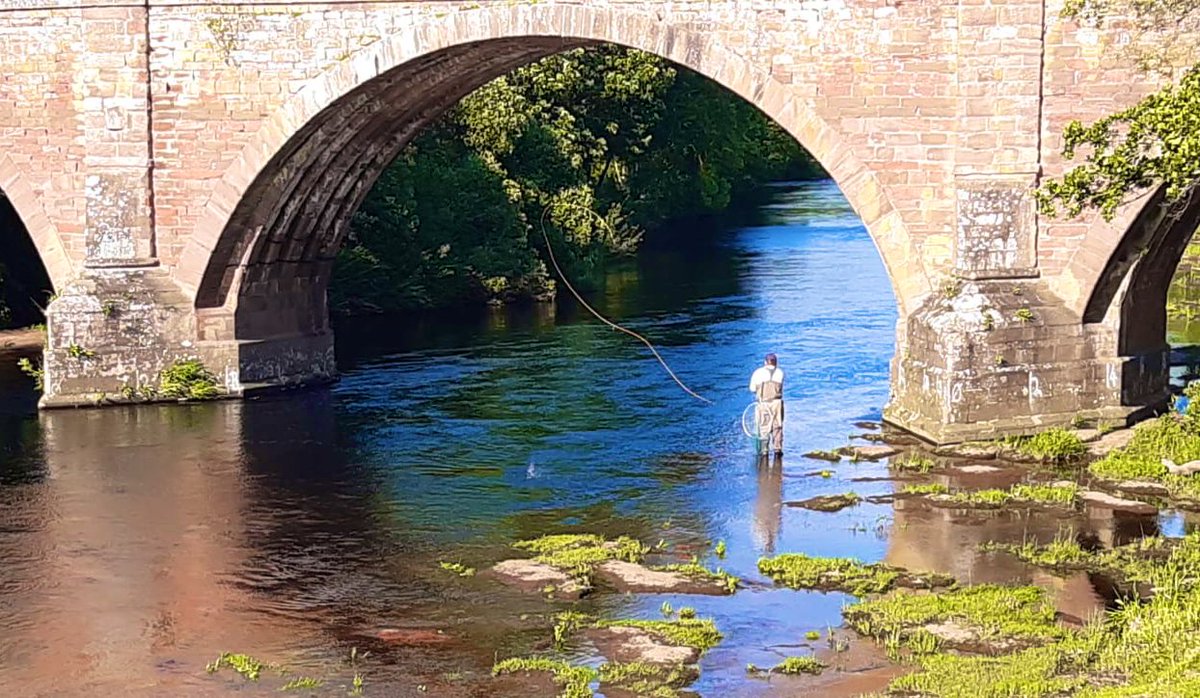 alextroutfisher's tweet photo. Casting a double hander is rather fun, salmon fishing is very frustrating though. 2nd trip another blank on the fly 🙈🎣 #flyfishing #doublehand #salmon #speycast https://t.co/A3OlOYT5Rd