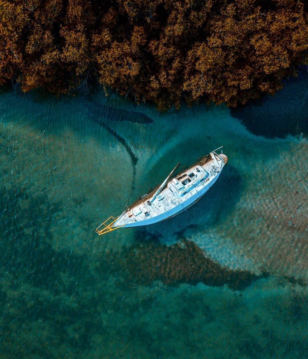 la_cascara's tweet photo. #CascaraRepost para @air_panama - Azul es el mar y grandes secretos guarda.
Un naufragio 🛥 a orillas de la costa en José Pobre, Colón. Un paraíso lleno de paz y paisajes que nos hacen pensar, una vez mas, que Panamá es una joya tropical invaluable.
.
📷 erasmosierraphoto (IG) https://t.co/sbOLC3sVJc