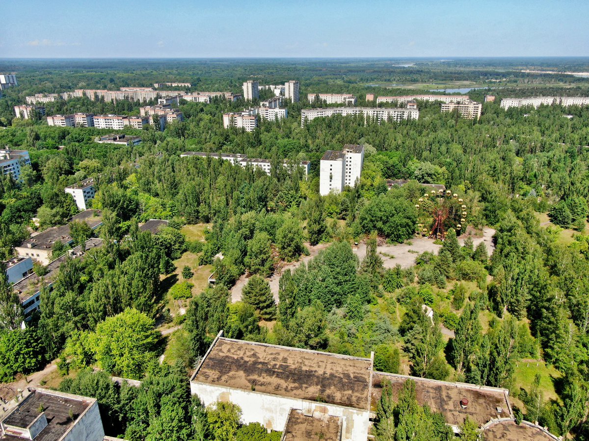 Algo que me asombró mucho en Chernobyl fue apreciar cómo la naturaleza se regenera cuando el ser humano se retira. El lugar es un bosque de nuevo.

Irónicamente, en unos años podría ser mucho más saludable vivir en Pripyat que en muchos otros lugares del planeta 🌏