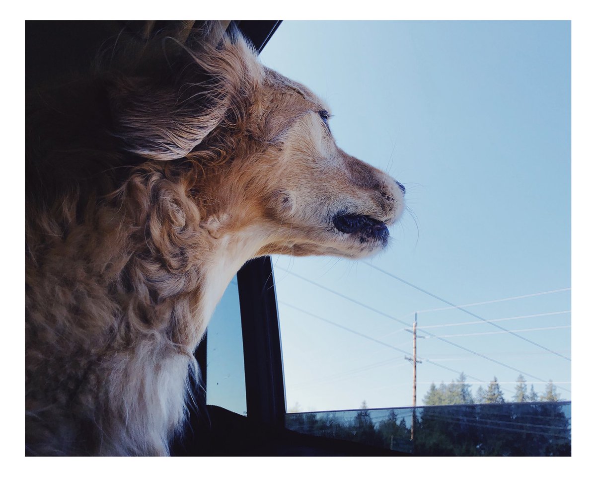 RustyRodas's tweet image. Wind smells good.