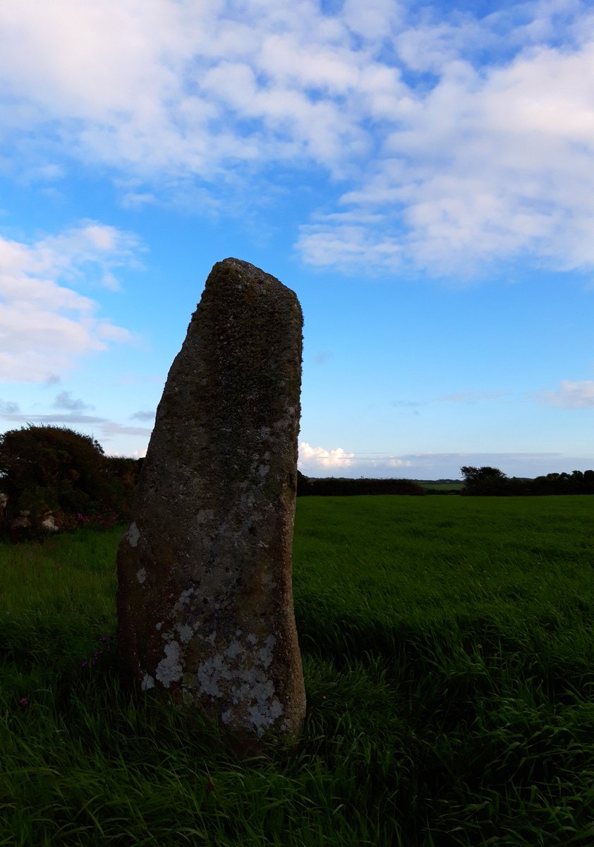 Almost the  #solstice so I popped along to Boscawen-Ûn this evening to see the circle and to find 2 nearby standing stones that I'd never seen before. Pity one of them's now part of a Cornish hedge but the first one seen here is a real beauty. #PrehistoryOfPenwith #megalithic
