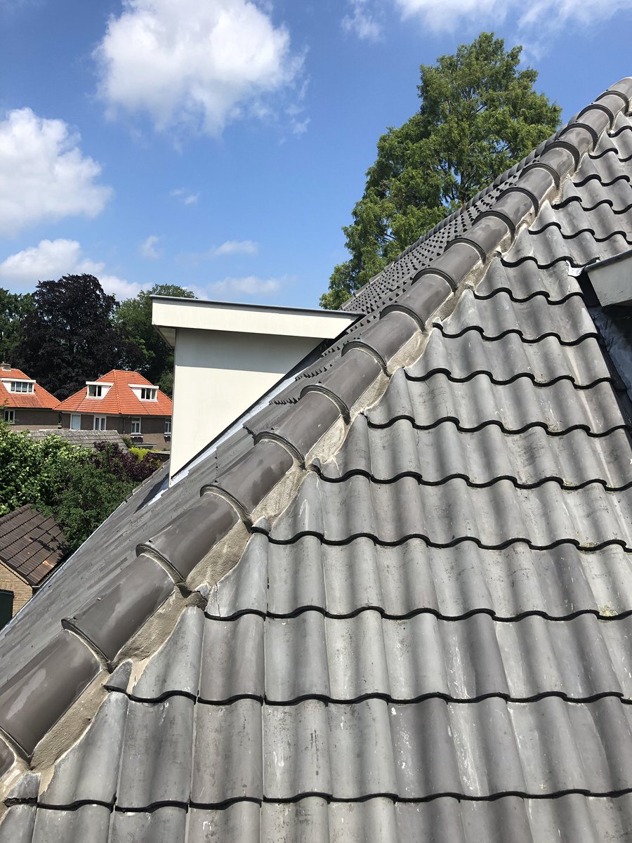 Laat uw dakpannen bij oude woningen inspecteren op breuk en voorkom aantasting van kapconstructie !