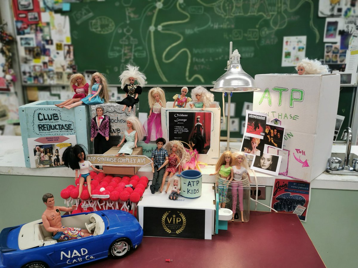 MrP_Bio's tweet image. Cast shot June 2019 #barbieshow #ETC #Bio30 Stellar performance by the ATP orphan "Totally sold the kid going to ATP camp thing!"