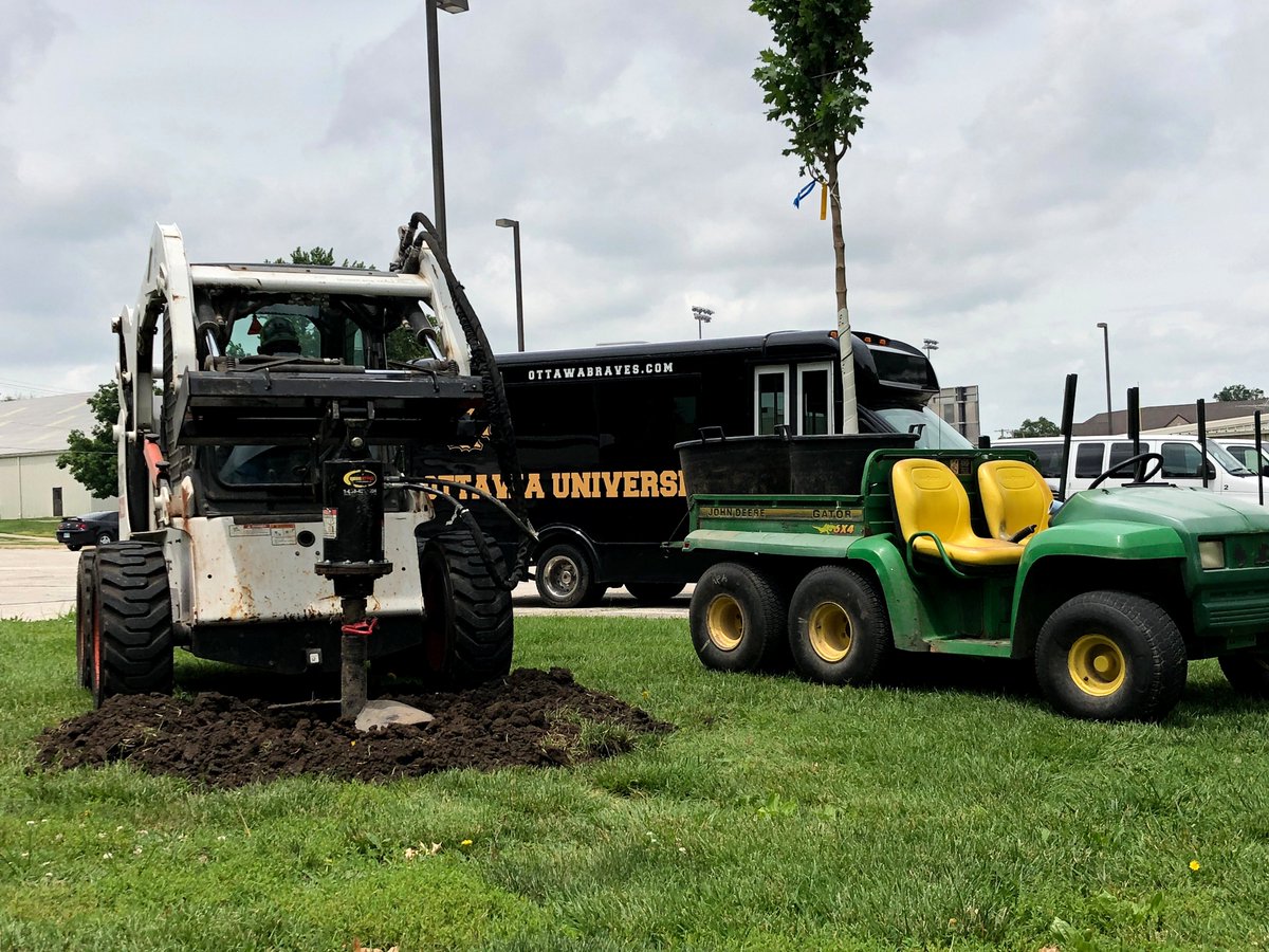OttawaU's tweet photo. OU facilities staff members are busy making several landscaping improvements on campus this summer. This week, a total of 15 new trees were planted. Some of them will replace diseased trees that are being removed, while others are being planted to further beautify campus grounds. https://t.co/siQAydT67D