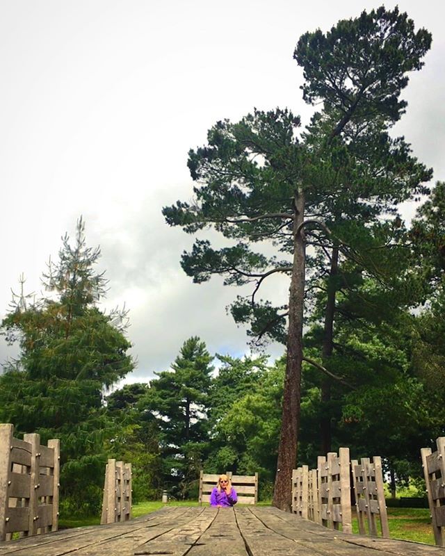 Victoria Fillingham tweet media