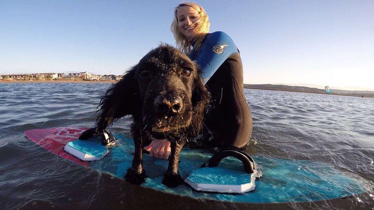 CodaWatersports's tweet photo. Pup on-board! https://t.co/qKoWbtKOYP
