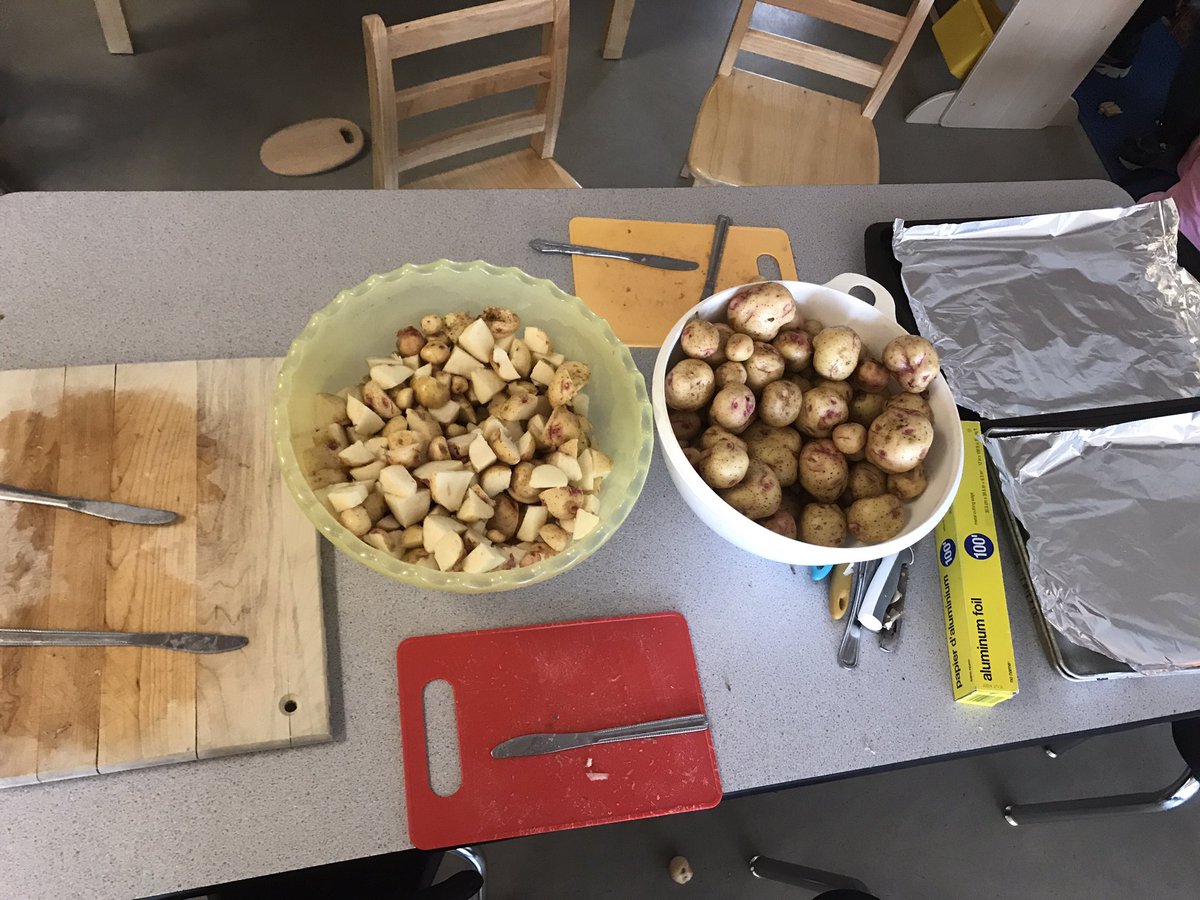 david_harel's tweet image. Washing, cutting, seasoning, mixing, eating, and sharing! What a wonderful celebration with our potato harvest @bridgebulldogs @sd38learn #spudsintubs