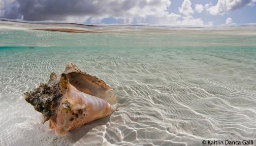 OurOcean's tweet photo. Stay salty, my friends... 🌊 https://t.co/KP2UsBjap9