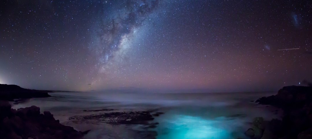 BLOG: South Australia’s national parks have such beautiful landscapes, it’s easy to forget to look up and feast your eyes on the astronomical delights of the night sky. Here are five top spots to camp and stargaze in #SouthAustralia: environment.sa.gov.au/goodliving/pos…