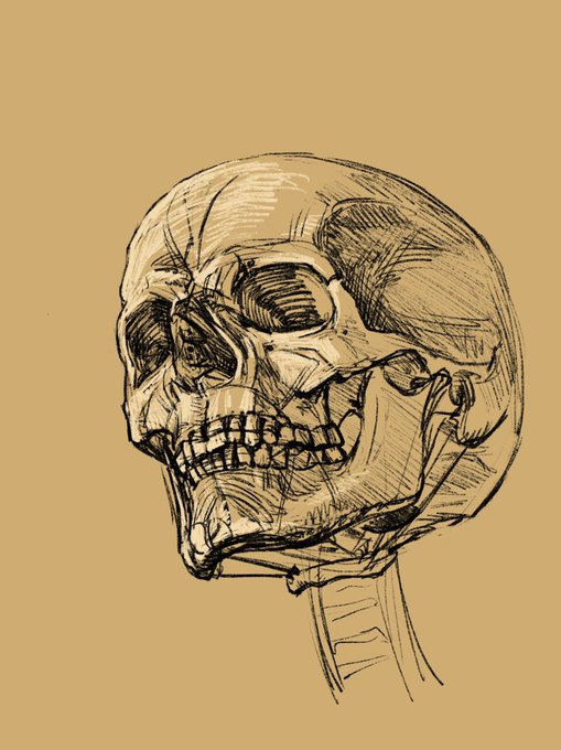 「skeleton」 illustration images(Oldest｜RT&Fav:50)
