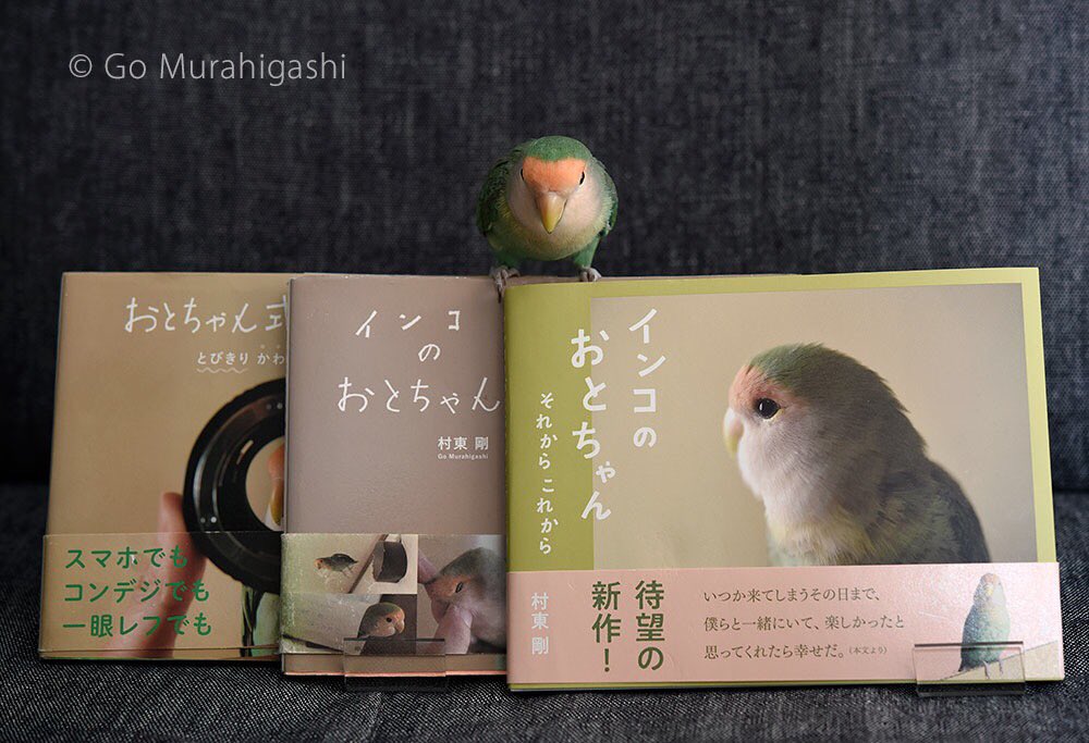 おとちゃん式鳥の撮り方 おとちゃん式鳥の撮り方