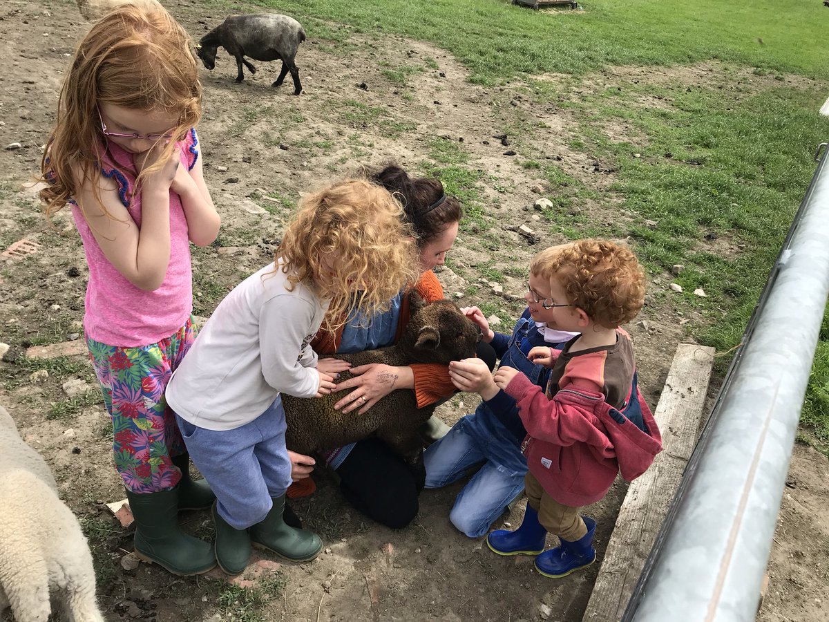 bernardsfarmuk's tweet photo. Next on the amazeballs dream to reality agenda for Bernardβs Farm is the anticipated arrival of lambs, ready to start us our very own flock π π π π (Yes, I really did just say amazeballs) #EmbarrassingMum #FeralChildren #GetStartedInAg https://t.co/Hus94OmMrF