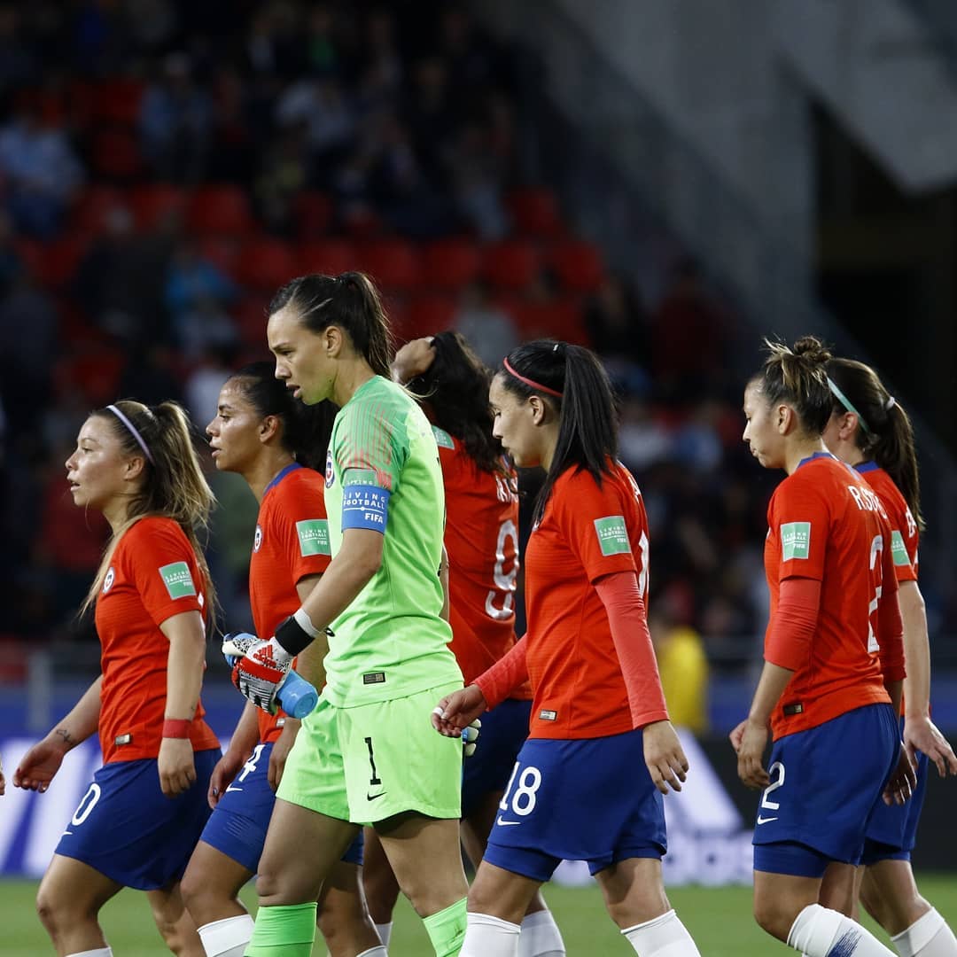 TeCache.cl tweet media