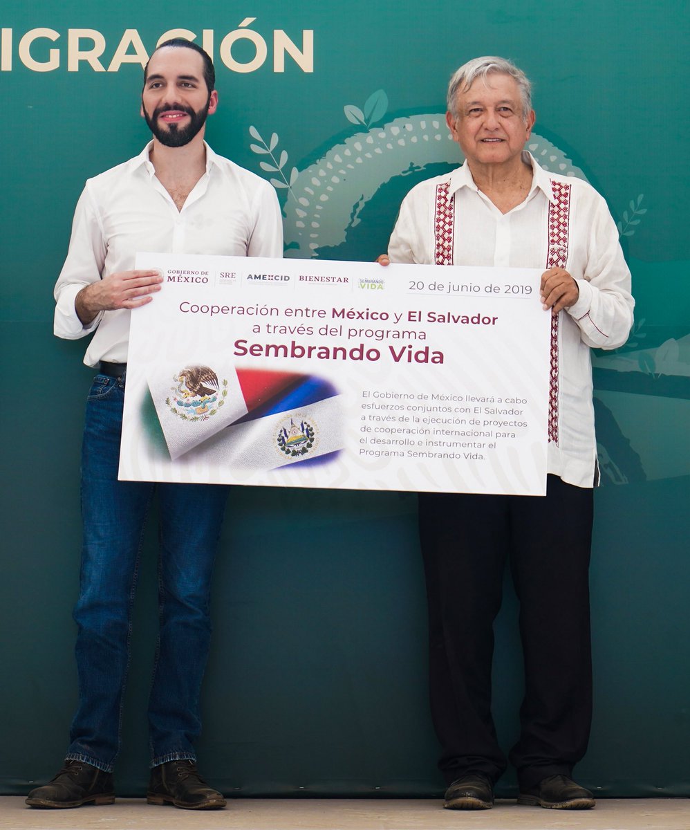 Andrés Manuel tweet media