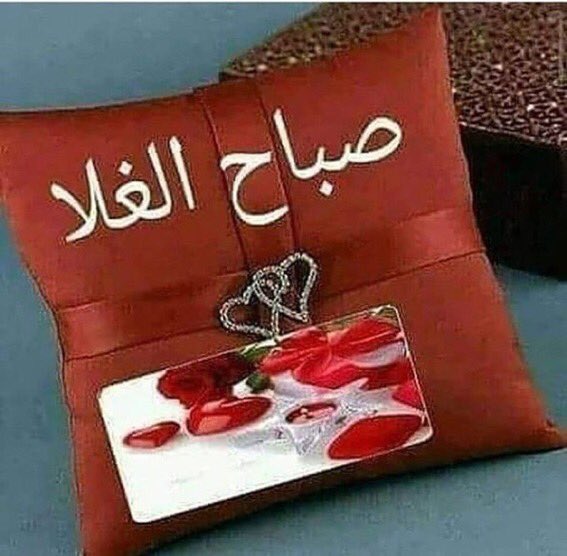 العتيبي على تويتر: صباح الخير والشوق لعيون مخلوق أبعدتني عن الدنيا بمشاعر روحها.