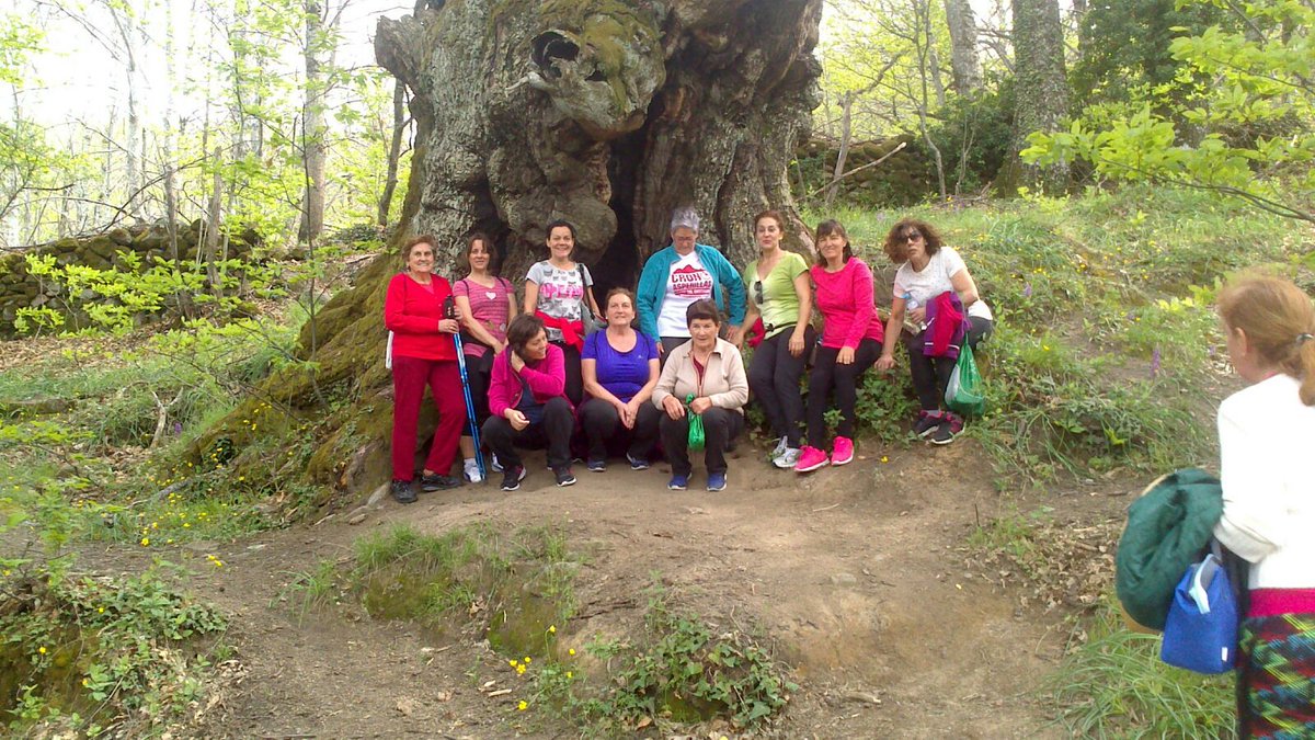 Y este año, uno más también habrá ruta senderista por los castaños centenarios de la Sierra de San Bernabé. <a href="/CronoAsperillas/">Crono Asperillas</a> es para todos, un plan familiar estupendo. No te lo pierdas. 15sept en el #valledeljerte, maravilla natural. <a href="/ValleCereza/">Valle del Jerte</a> <a href="/vallejerte_tur/">Valle del Jerte</a> <a href="/jertevalle/">#ValleDelJerte</a>