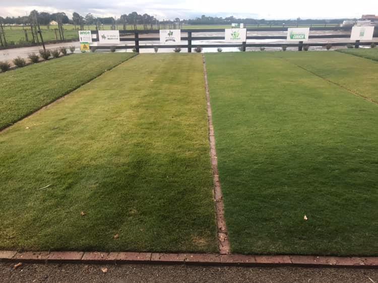 Ancoinstantturf's tweet photo. Come and see our turf plots in winter. The winter colour variations may help you decide on what Lawn suits your requirements. #winterturf #lawncolour #ancoturf #winterlawnsolutions https://t.co/9yGTriZx3H