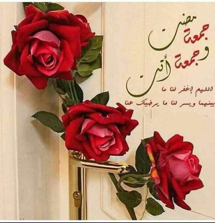 كاظم ألمرياني (@zrjnlta9nrysdca) on Twitter photo 