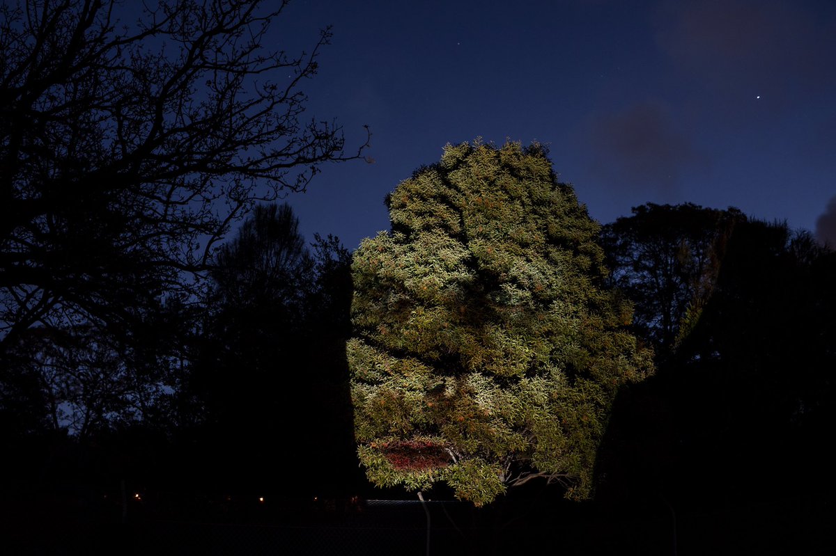 I understand many things because of the woods.
—Log Lady

Tony Oursler's 6th at Dark Path.