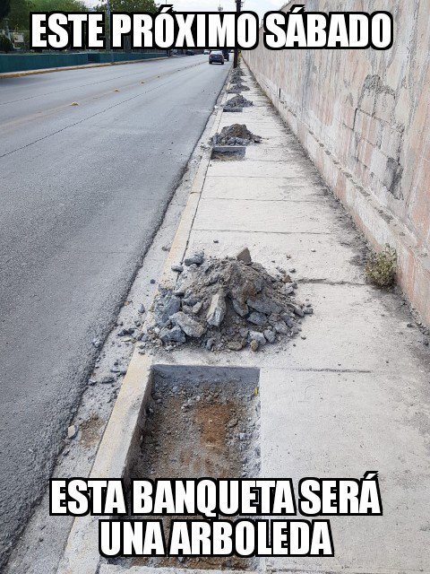 reforestacion's tweet image. Y así todas  las semanas 

#urbantree