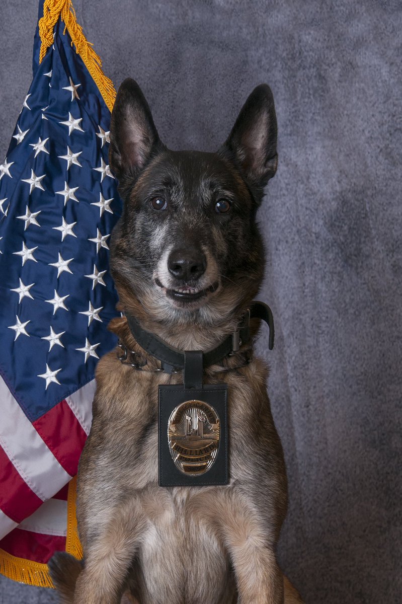 HPDK9OZ's tweet photo. @bulletgifts Thank You https://t.co/YeX64Ls8PO