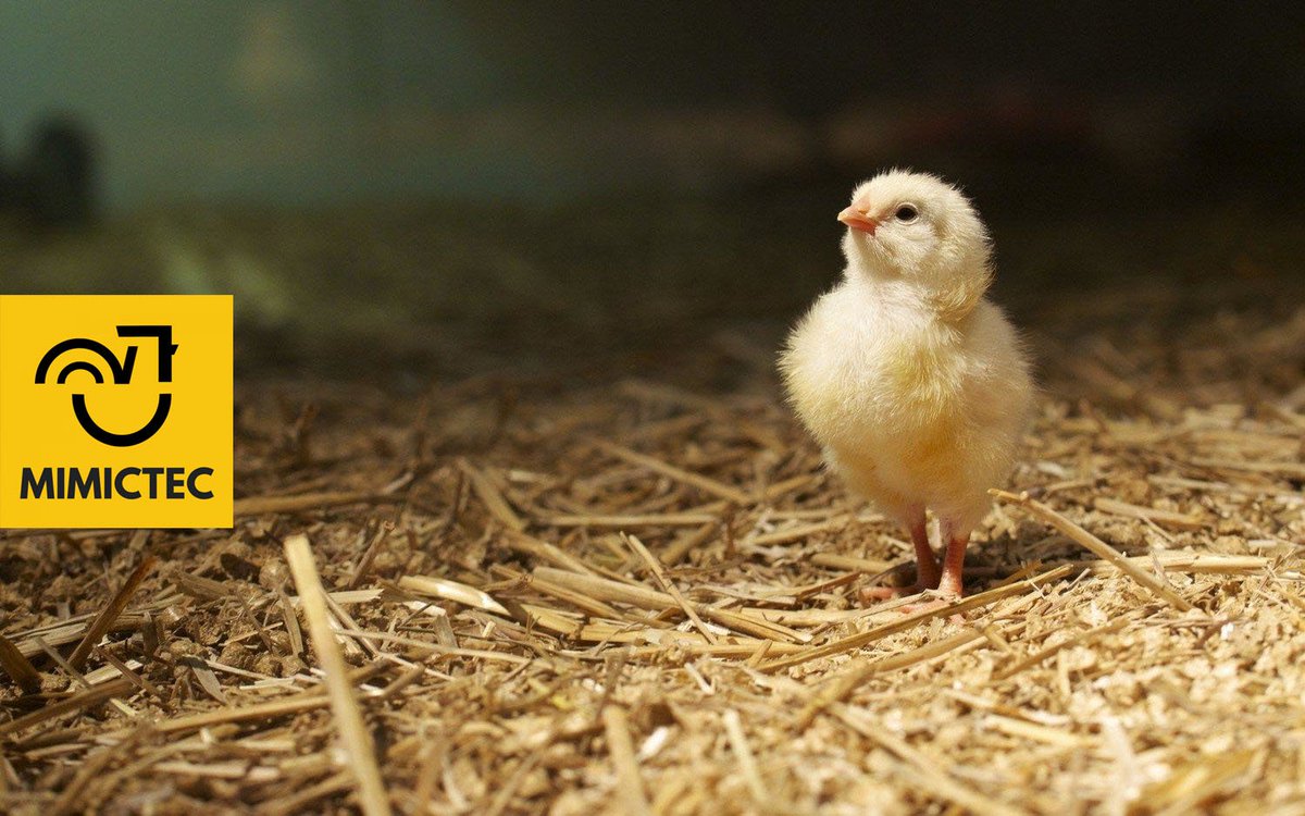 How to raise capital well interview with Mimictec founder Sarah Last &amp; <a href="/scale_investors/">Scale Investors</a> Lisa Galbraith, Maryjane Crabtree podcasts.apple.com/au/podcast/sar…