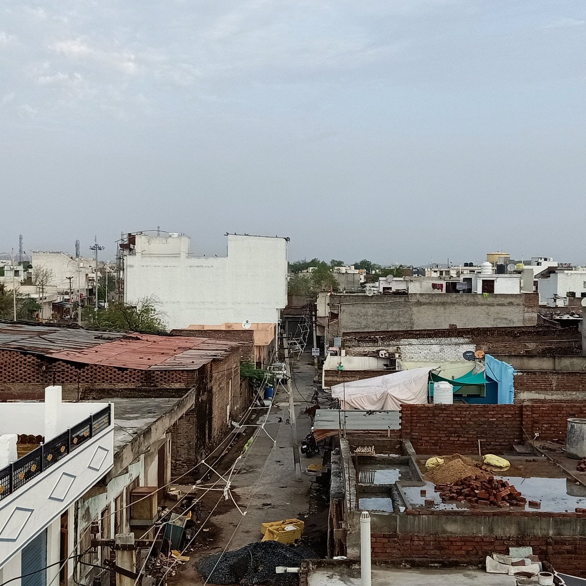 VijayKumarKoli3's tweet photo. It is interesting to understand that how many species survive in this alien environment. The concrete jungle is spreading uncontrolled and we are part of it. https://t.co/sNjqQ0jD1k
