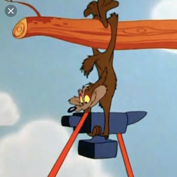 Wile E Coyote Falling Anvil Gif