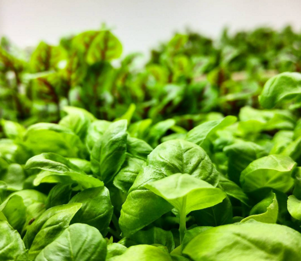 Learn all about #flexitarianism, the lifestyle that can change the world. ow.ly/sYlk30oY96x #healthyeating