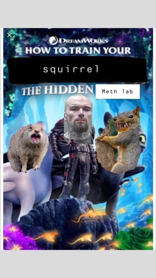 MethSquirrel's tweet photo. I can help train your squirrel to be an #attacksquirrel #deeznuts https://t.co/avt4yF8e80