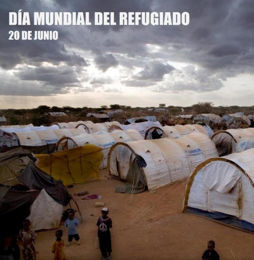 Observatorio de Derechos Humanos del estado Sucre tweet media