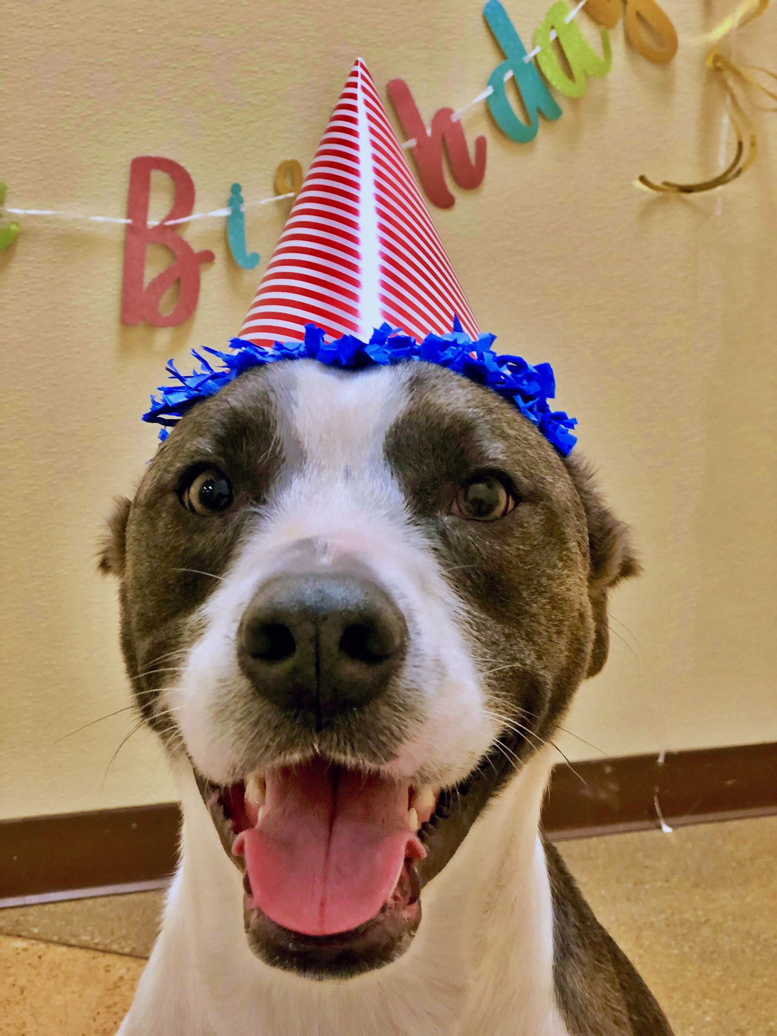Happy birthday Blake Shelton 