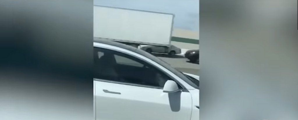 TheDSOS's tweet image. Tesla Driver Caught Sleeping For More Than 30 Miles on One of California's Busiest Freeways buff.ly/2FkQOBS