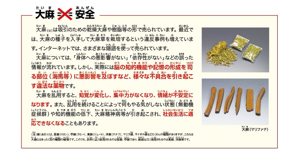 厚生労働省 V Twitter 大麻 は脳細胞を破壊する危険な薬物です 大麻は身体への悪影響がない 依存性がない など間違った情報が流れています 大麻は 脳細胞を壊し 幻覚や妄想などを引き起こします また 使用を続けると社会生活に適応できなくなる
