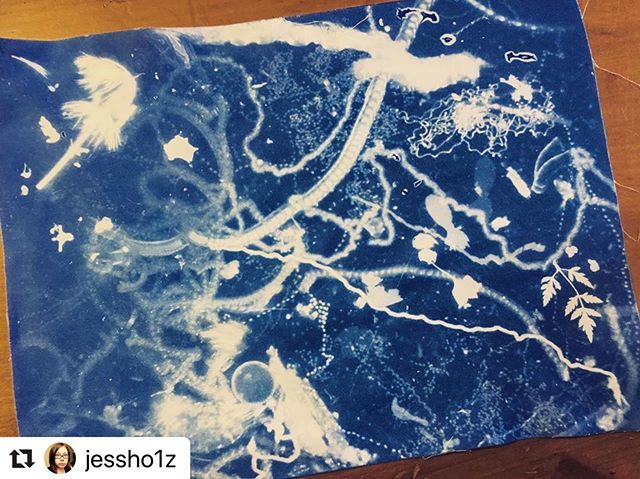 LakesideLabAIR's tweet photo. More fantastic work from current AIR19 @jessho1z
.
.
#Repost @jessho1z with @make_repost
・・・
@lakesidelabair residency post 3: microscopic critter trails with human scale plants, cyanotype on cloth.  #microscopy #iowa #plankton #cyanotype https://t.co/acdzHqfIzF