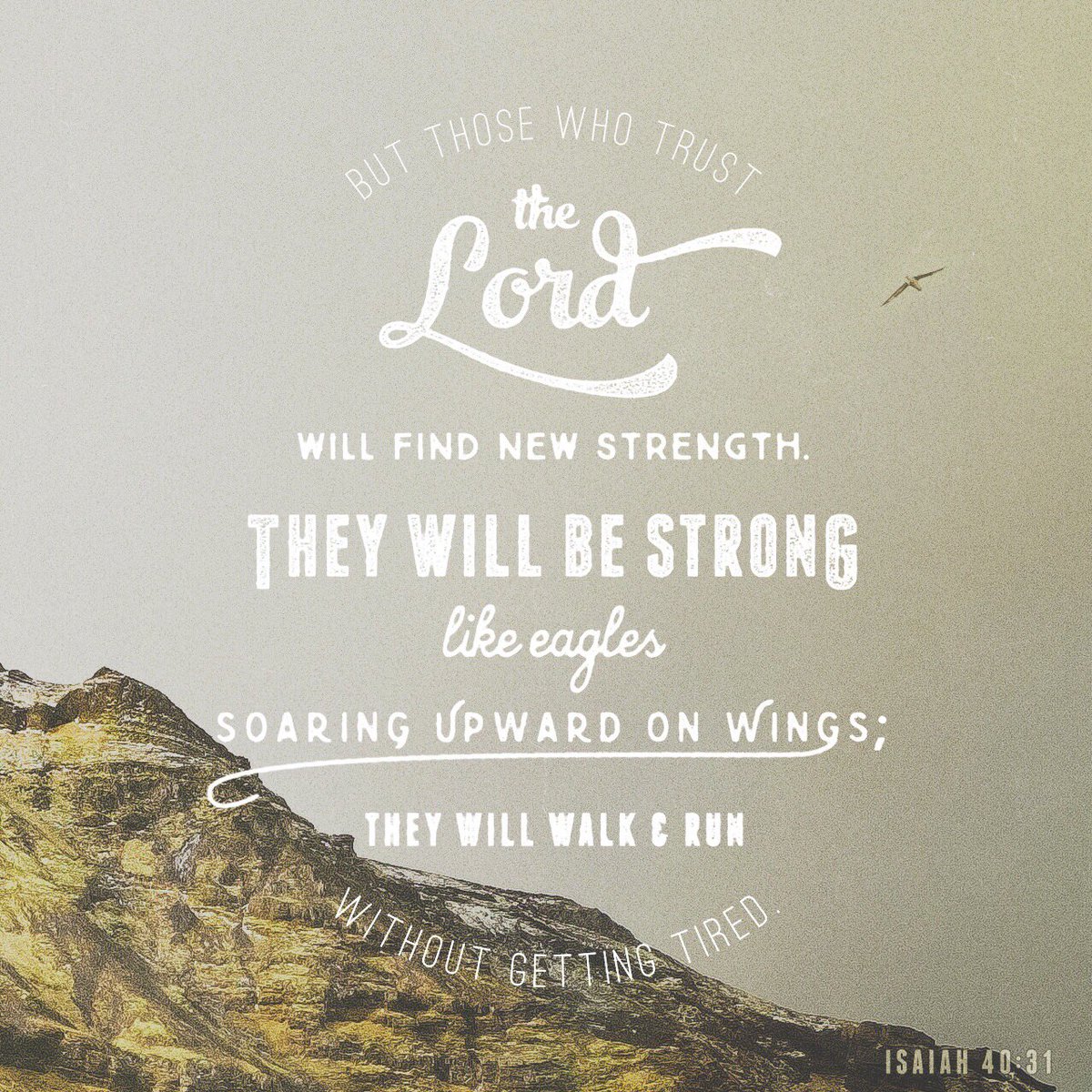 Christ Follower (@schuetzbrent) on Twitter photo 