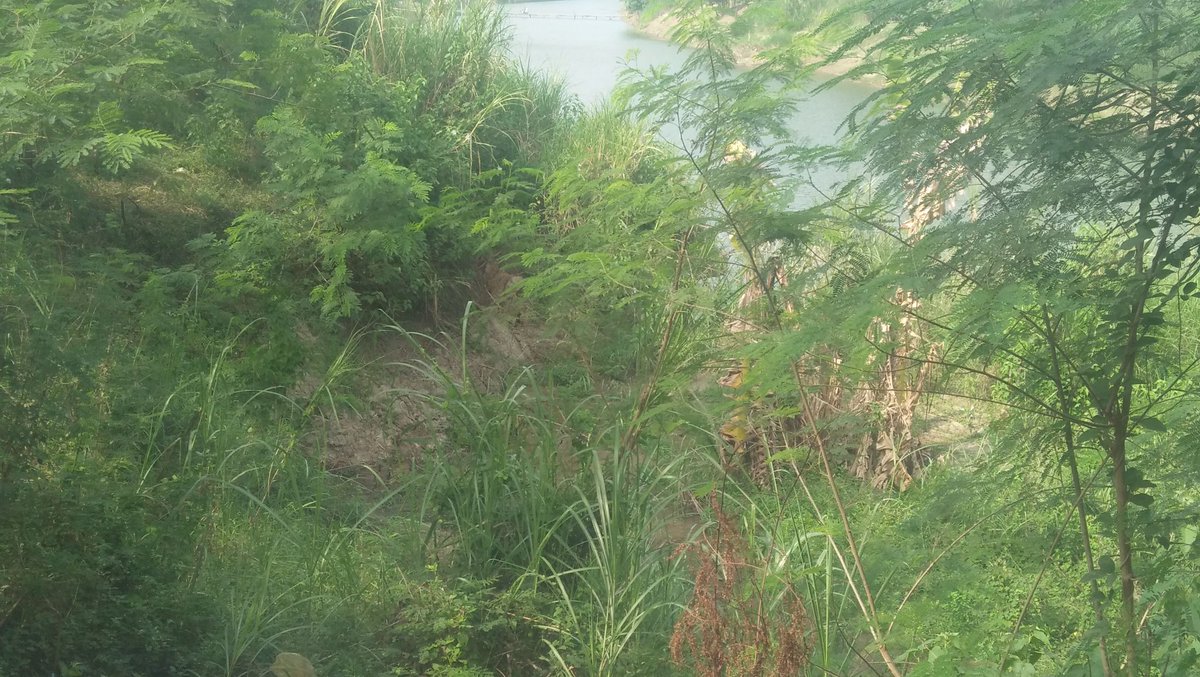 desakertasemaya's tweet photo. Telah terjadi pergerakan tanah atau longsor tanggul Cimanuk tepatnya di daerah Blok Rengaspayung..@InfoJatibarang @Kangichank @IMDermayu @Indramayu_Post
#desakertasemaya #bbwscimanukcisanggarung #PUPERA #indramayu #cimanuk https://t.co/QiTV2qrobG