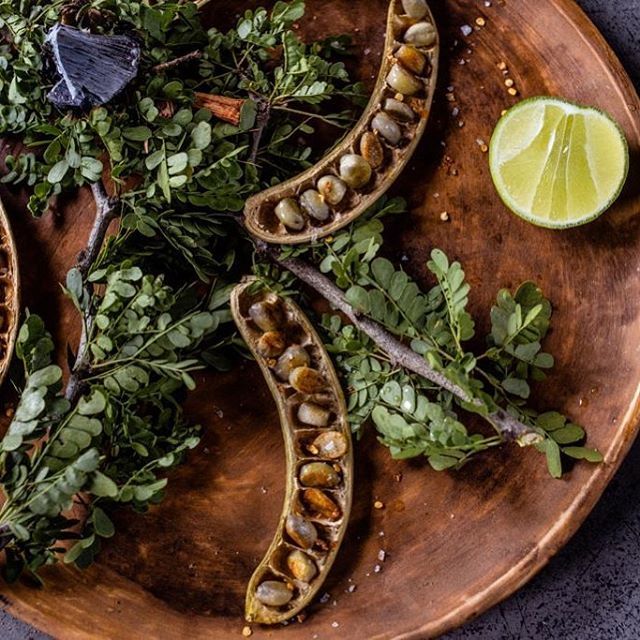 Mahuacatas: fruto de la vaina del ébano. Sabor parecido al cacahuate. Aún se acostumbra servir como botana en algunas cantinas de #NuevoLeon ¡BIENVENIDA TODA LA RAZA MAHUACATERA! A El Jonuco

#NuevoLeonEnTuMesa #RescatandoLaCocinaNorestense #ElJonucoMx bit.ly/2Kv9Zgm